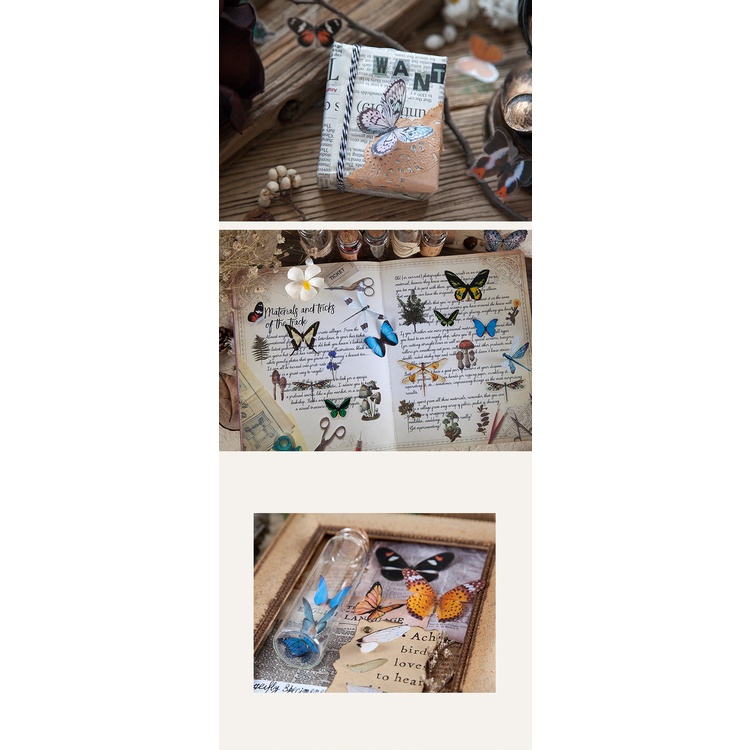 Set 40 Sticker PET Butterfly Cực Xinh Trang Trí Sổ Planner Scrapbook