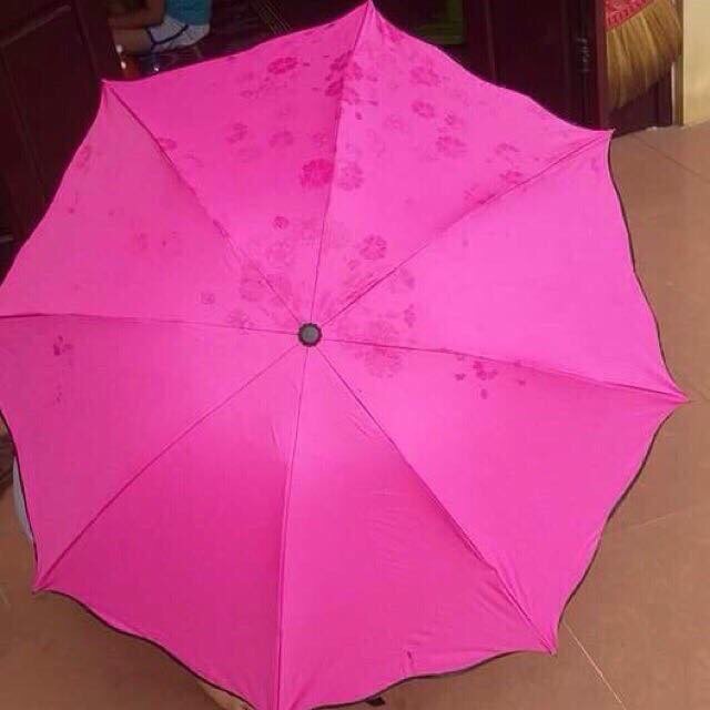 Ô Nở Hoa Nở Hoa Khi Gặp Nước Ô Gập Gọn Chống Tia UV Tiện Dụng Xinh Xắn