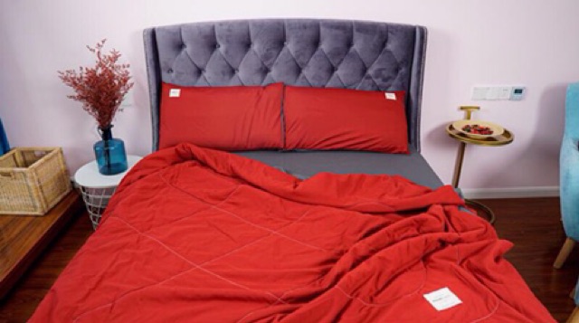 Sét hè cotton Tici phiên bản chăn hè trần bông 2020