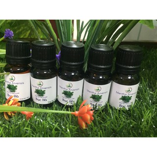 Com bo 5 tinh dầu bạc hà Viện Hàn lâm