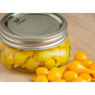 hạt giống ớt mỏ chim  ( BIQUINHO YELLOW )
