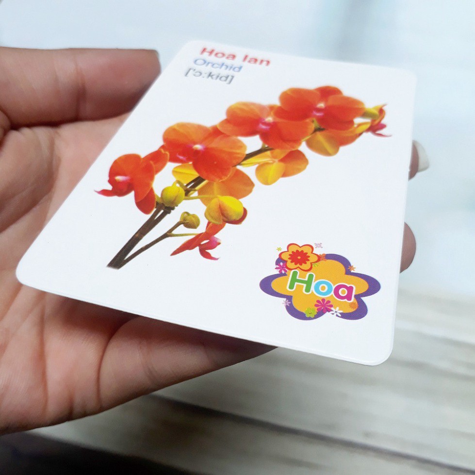 Flashcard Bộ thẻ Song Ngữ Anh-Việt (có phiên âm) 16 chủ đề 416 thẻ nk032
