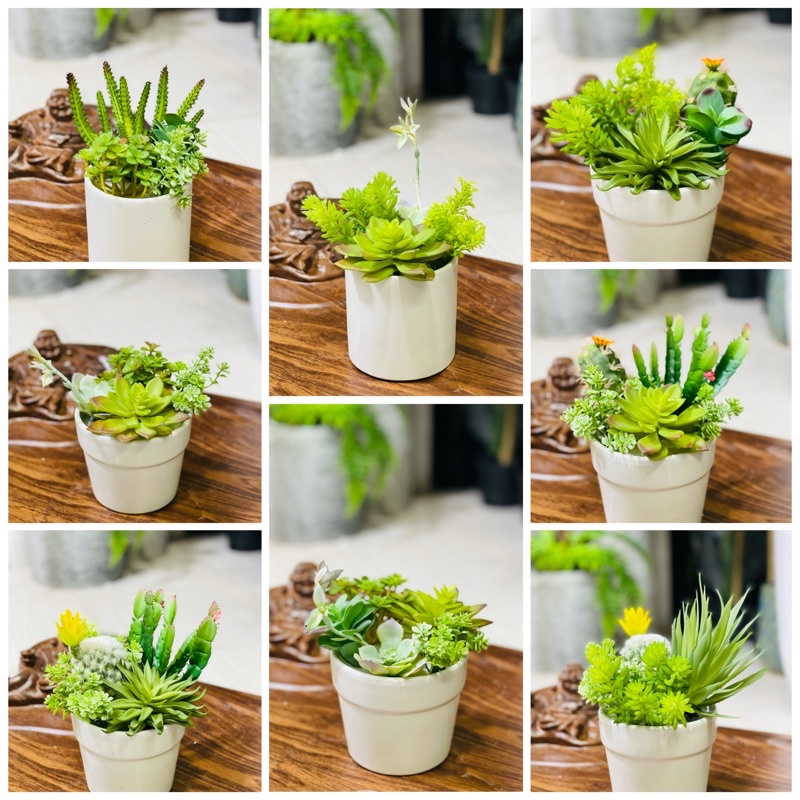 Cây giả decor- Chậu sen đá mini trang trí đặt bàn
