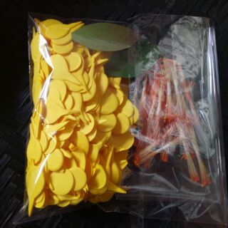 Cành hoa mai vàng