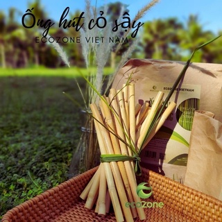 [Có bảo hành] Túi 30 ống hút cỏ sậy  khô 20cm Ecozone hàng xuất khẩu có thể tái sử dụng dùng uống cafe sinh tố smothies