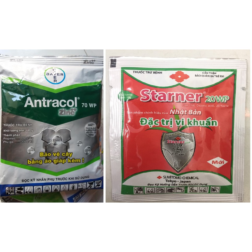 COMBO Thuốc đặc trị nấm khuẩn( thối nhũn, thối lá) cho lan Starner và Antracol