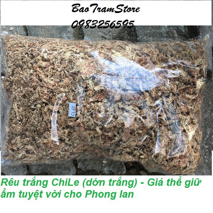 [SIEURE] Rêu trắng ChiLe - Giá thể giữ ẩm tuyệt vời cho phong lan, gói 300g hàng đẹp, phân phối chuyên nghiệp.