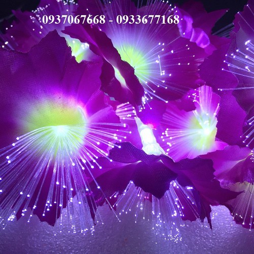 ĐÈN LED BÔNG HOA 5M 20 BÔNG - ĐÈN LED TRANG TRÍ LỄ TẾT, NOEL
