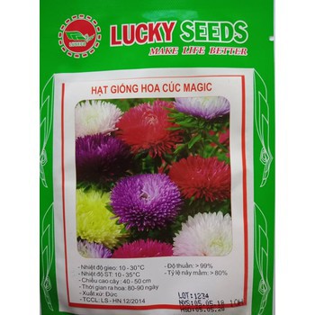 50 Hạt giống hoa Cúc Magic mix (tặng gói Kích nẩy mầm và Hướng dẫn)