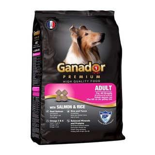5 gói ganador chó lớn vị cá hồi gói 400gr