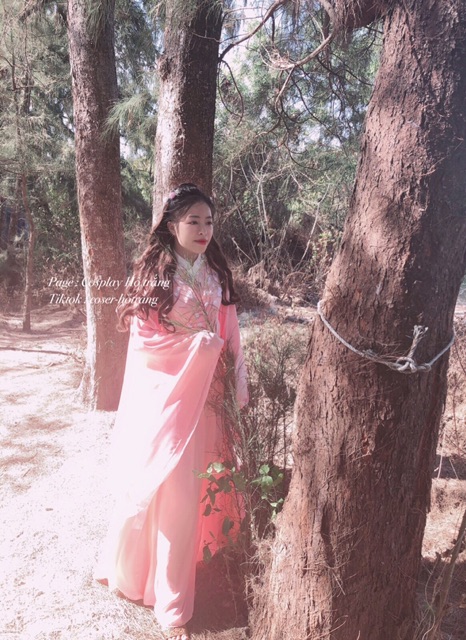 Y phục cẩm mịch cosplay