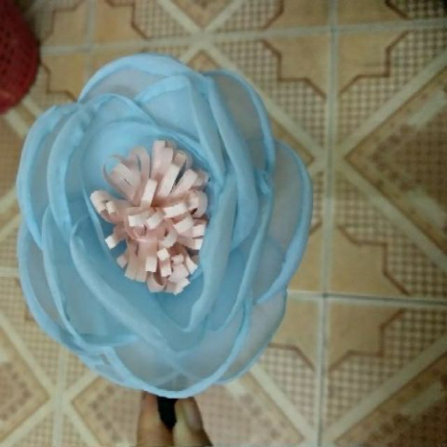 Bờm tai mèo đáng yêu