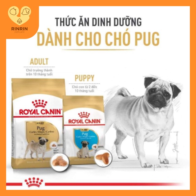 Hạt Royal dành cho chó pug gói 500gr