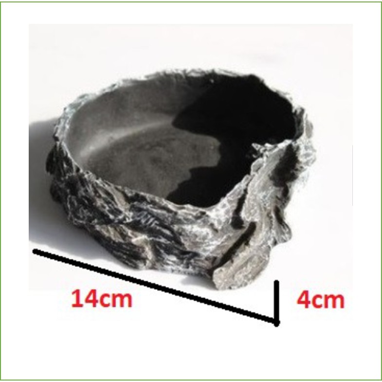 CHÉN ĂN, CHÉN NƯỚC SIÊU TO, KHỔNG LỒ CHO thuỷ sinh, bể cá BÒ SÁT