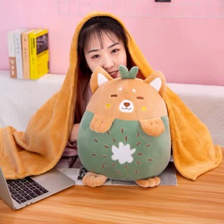 Bộ chăn gối văn phòng 3 in 1