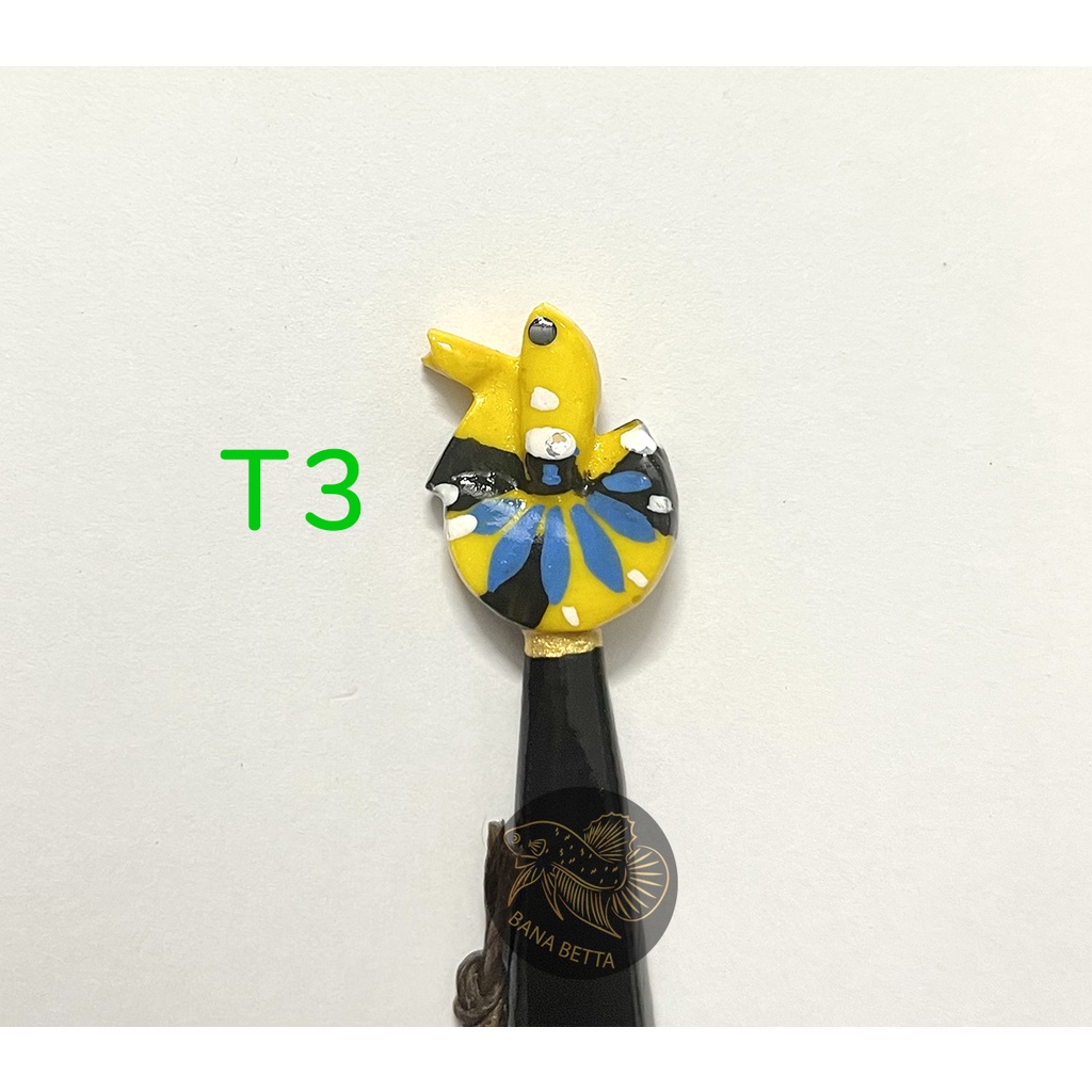 Cây kè cá betta + Tặng Cám INVE 5/8