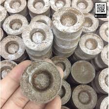10 viên nén xơ dừa