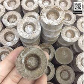 10 viên nén xơ dừa