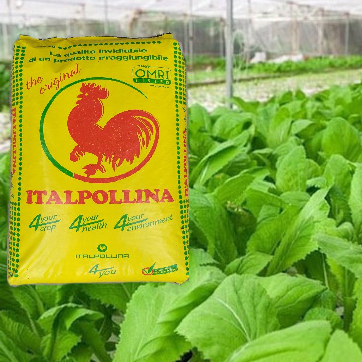 Phân Hữu Cơ Cao Cấp Nhập Khẩu Ý , Phân Bón Hữu Cơ ITALYA