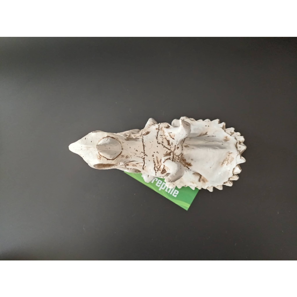 Mô hình trang trí sọ khủng long cho chuồng nuôi