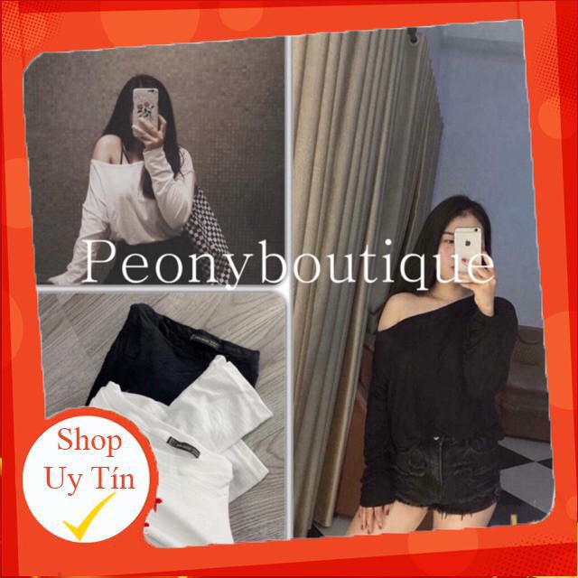 🌸 Áo phông giấy mỏng dáng suông ôm bánh bèo tiểu thư ulzzang sexy HOT 🌸 -