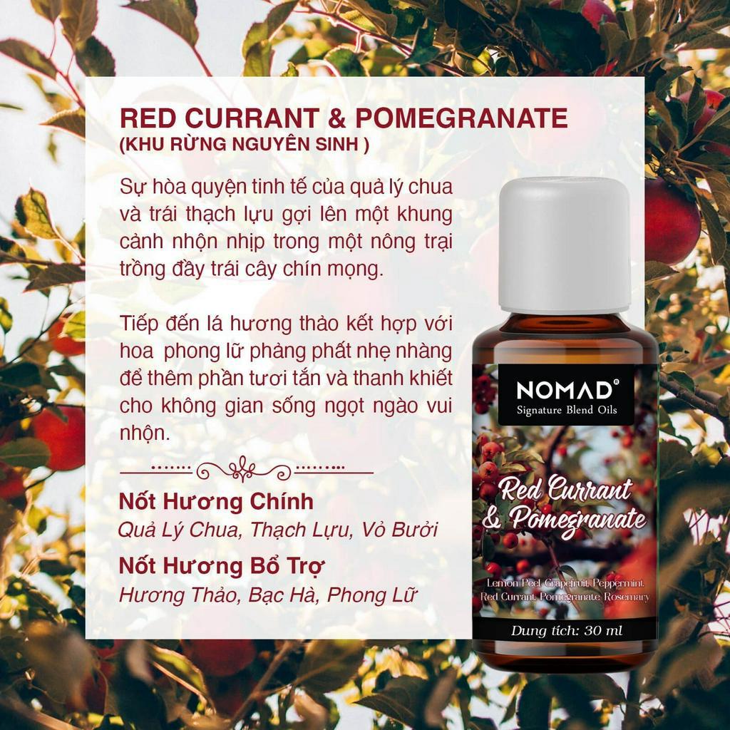 Tinh Dầu Thơm Nomad Signature Blend Oils - Red Currant & Pomegranate