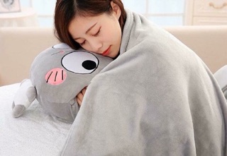 Gối mền 2in1