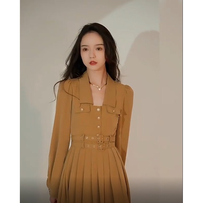 V151 - Váy xếp ly nâu