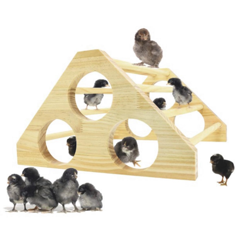 Mocho Đồ Chơi Thang Leo Bằng Gỗ Cho Gà Con