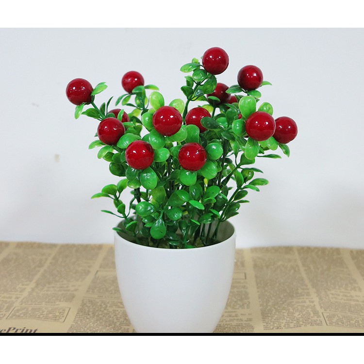 Chậu cây Cherry, Chậu Ớt giả trang trí