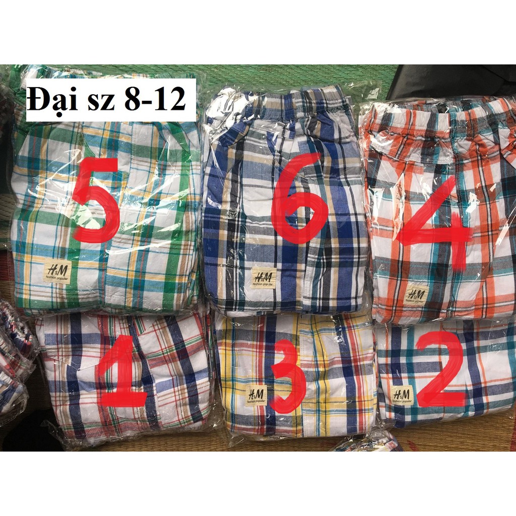 SIZE 20-30KG: Quần đùi thô kẻ loại đẹp cho bé trai - qdtk