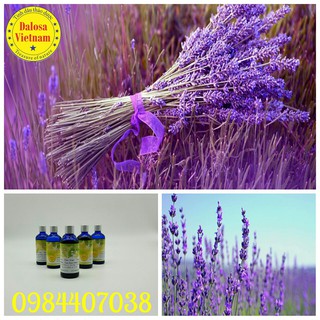 Tinh dầu oải hương 100ml