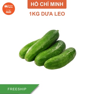 [HCM] 1KG Dưa Leo Tươi Giòn - Shopeefarm