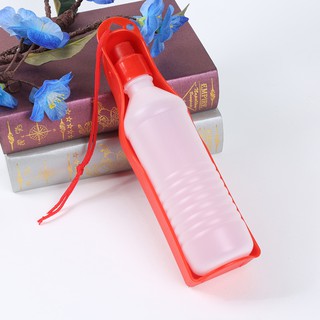 Bình nước du lịch chó mèo