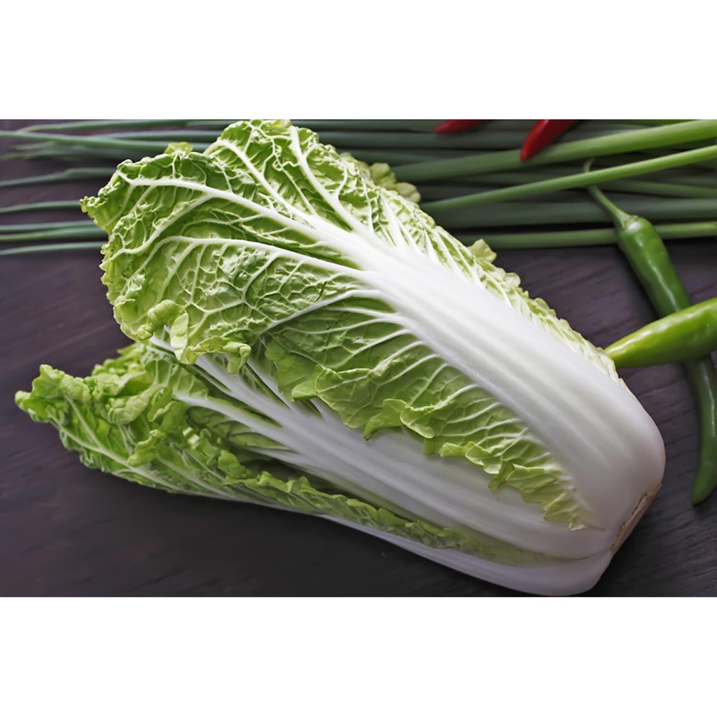 Hạt Giống Rau Cải Thảo 0,5g