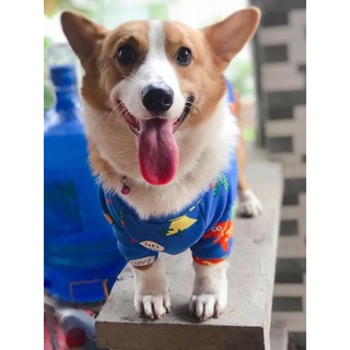 Đầm cho khách của e ❤❤❤