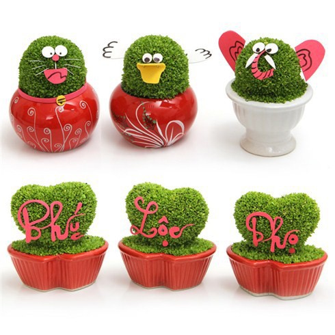 HẠT GIỐNG CỎ MAY MẮN - GÓI 1 GRAM