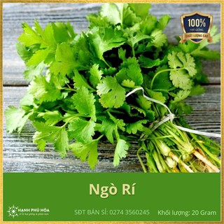 Hạt Giống Ngò Rí Bạc Liêu Chánh Nông 20g/Gói - Dễ Trồng, Trồng Quanh Năm, Năng Suất Cao, Thơm Ngon, Tốt Cho Sức Khoẻ