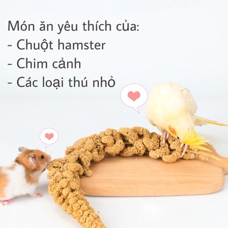 Thức ăn cho hamster kê chùm mượt lông