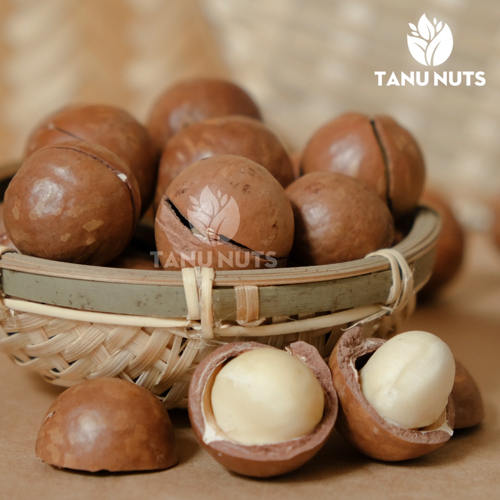 Hạt macca sấy nứt vỏ TANU NUTS Macadamia Tây Nguyên tốt cho phụ nữ có thai 450g/500g