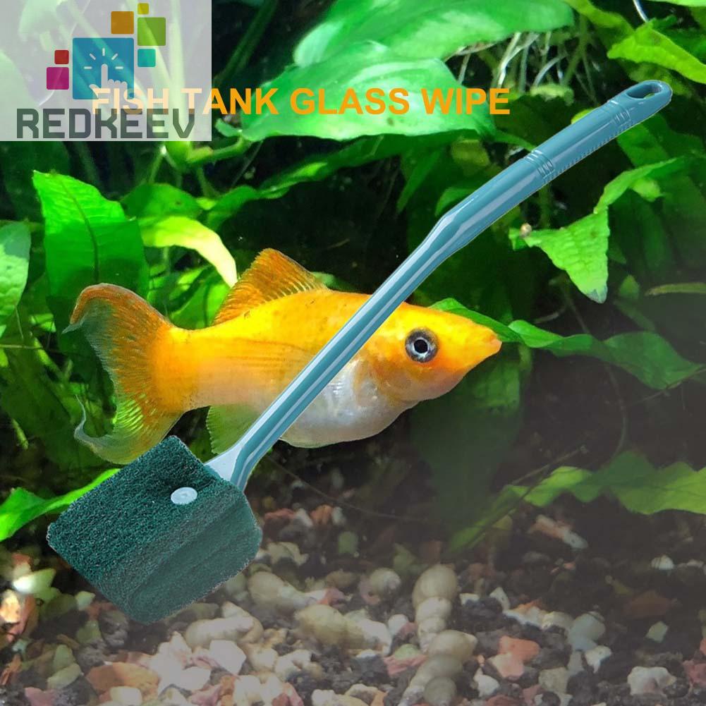 Cây lau kính bể cá cán dài tiện dụng