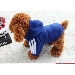 áo thể thao cho chó và mèo- màu xanh