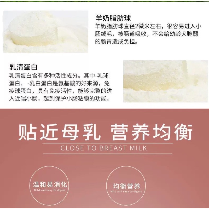 Sữa dê cho mèo con mèo bầu Borammy cung cấp vitamin và dinh dưỡng cho mèo Surica BM07