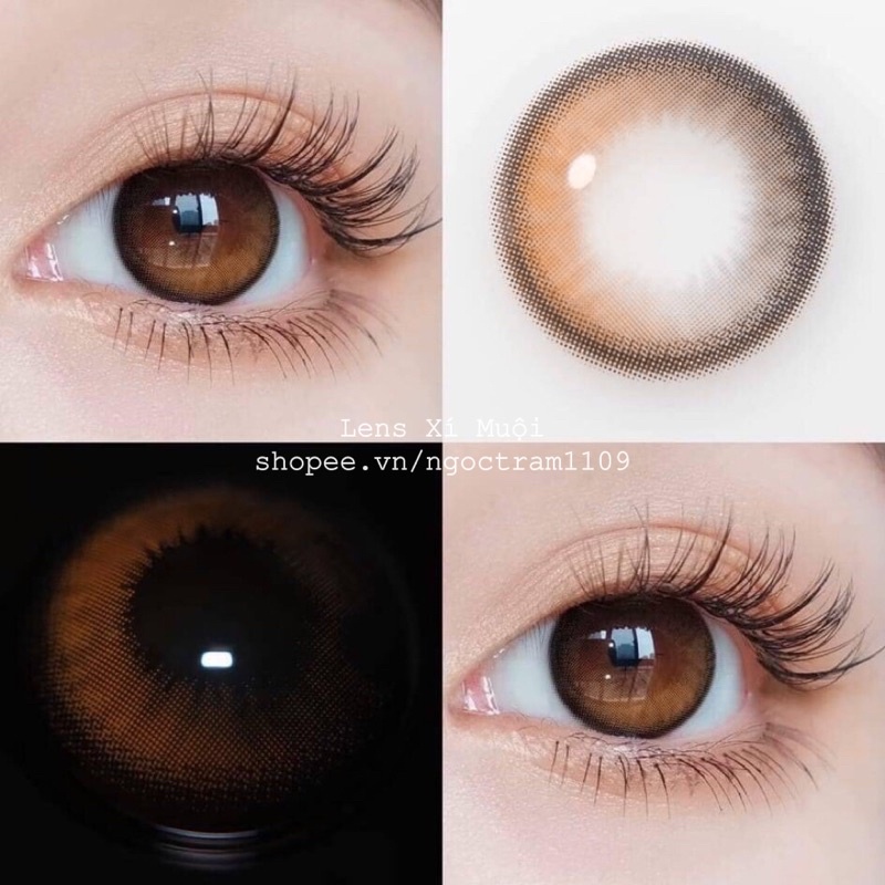 Lens mắt nâu giãn vừa Milli có độ