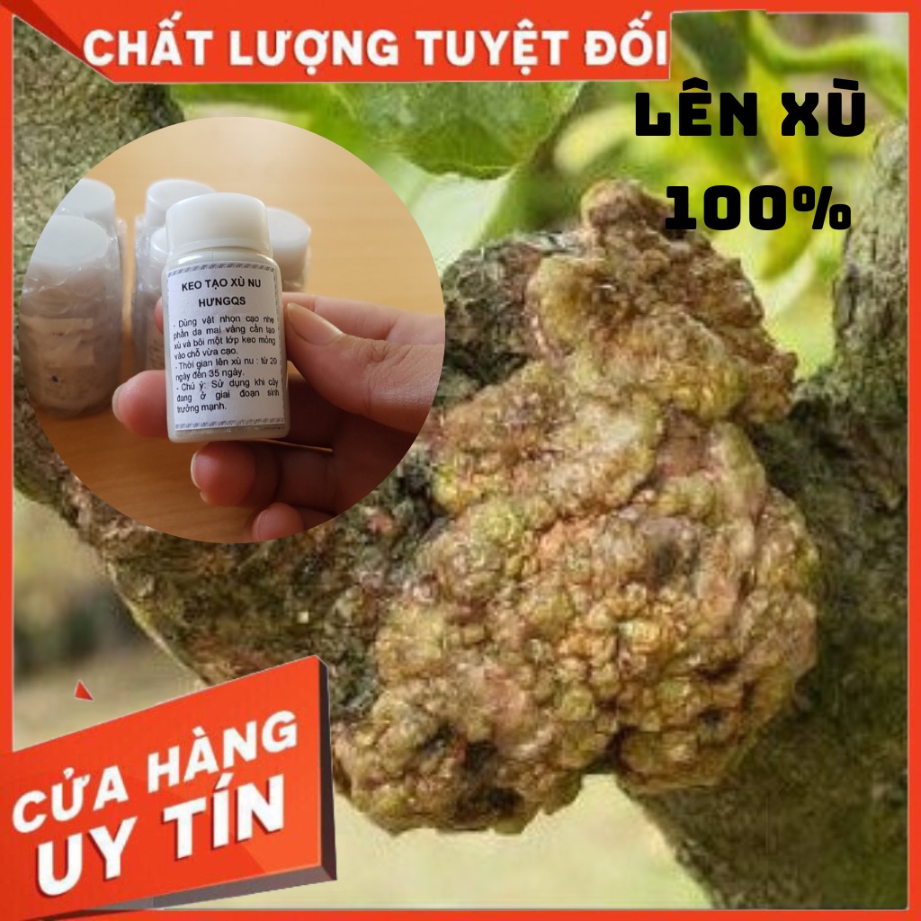 20ml dung dịch Keo Tạo Xù Nu cho cây Mai Vàng Siêu Chất Lượng (cam kết lên xù nu)