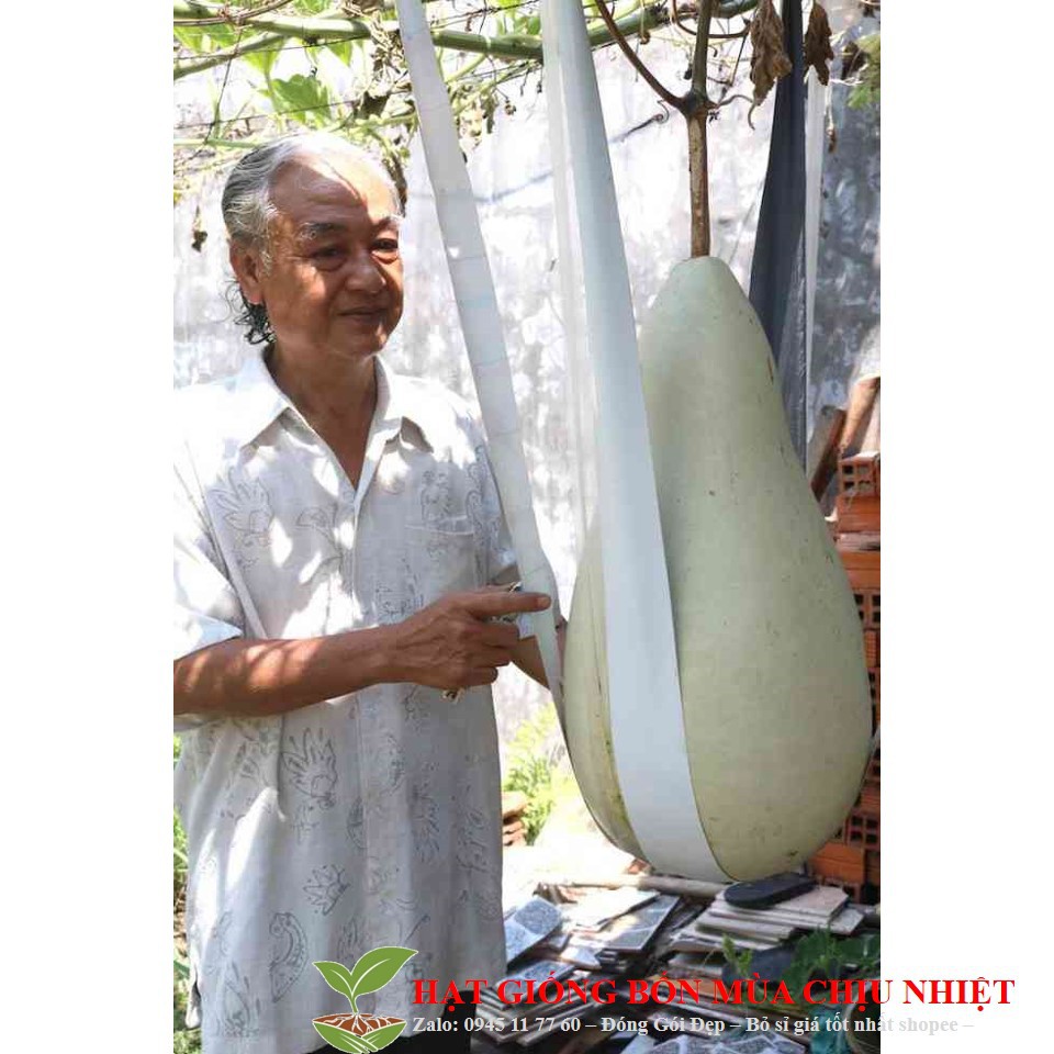 HẠT GIỐNG BẦU siêu to, khổng lồ&quot; nặng từ 15-30 kg gói 5 hạt