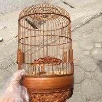 Dầu quét lồng