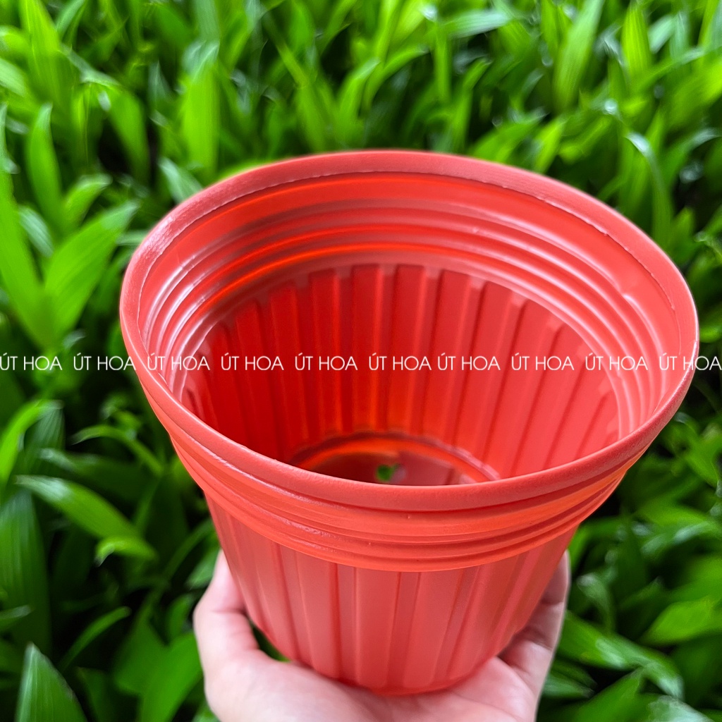 Chậu sọc QH 150x125 trồng hoa vạn thọ Tết loại dày
