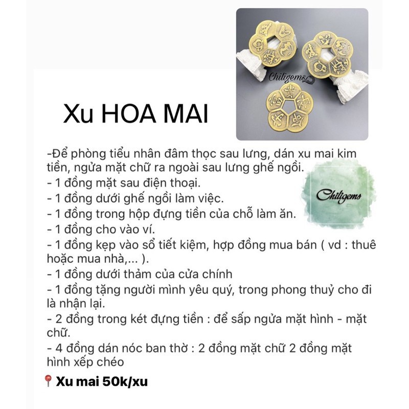 Xu Hoa Mai, Xu phong thủy, Xu tài lộc , Xu may mắn, Hoa mai 5 cánh