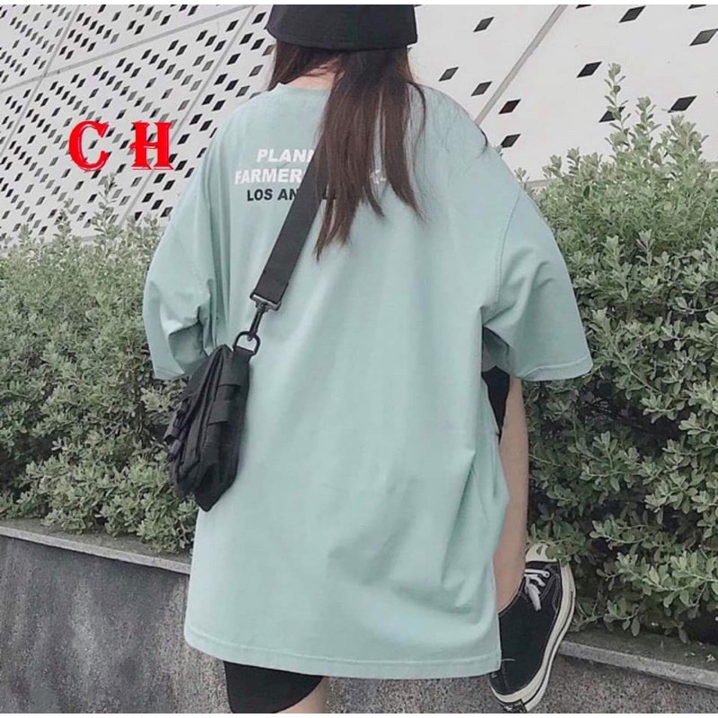 Sét đùi áo phông PLAN COH977